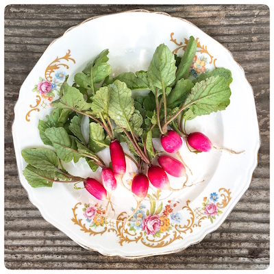 breakfast-french-radish