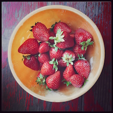 fresly-picked-strawberries.JPG