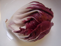 Radicchio1JPG.JPG