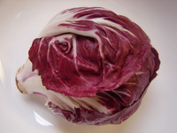 Radicchio2.JPG