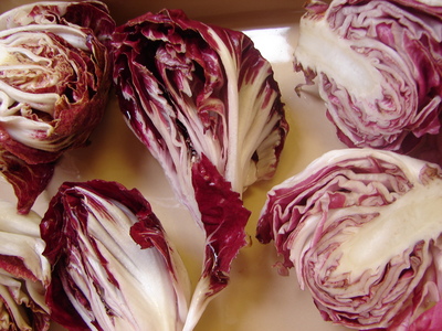 Radicchio3.JPG