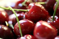 cherries_from_erick_3.jpg