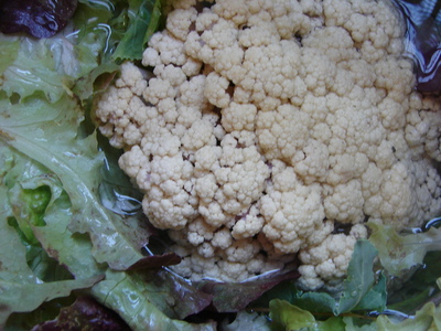 couve-flor-alface1JPG.JPG