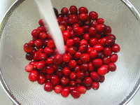 cranberries.JPG