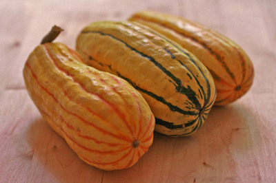 delicata_squash.jpg