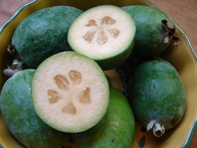 feijoa.JPG