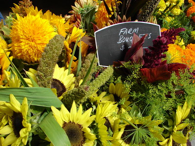 flowersFMSF2.JPG