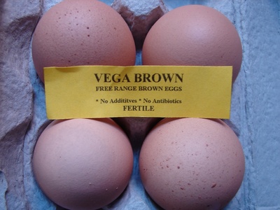free-range-eggs.jpg