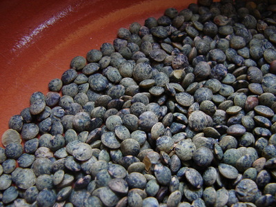 frenchgreenlentils.JPG