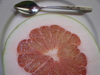 giantgrapefruit1.JPG