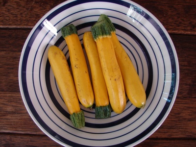 goldenzucchinis.jpg