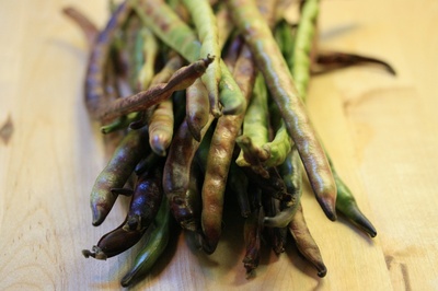darkgreenbeans