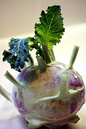 kohlrabi_spacial_1S.jpg