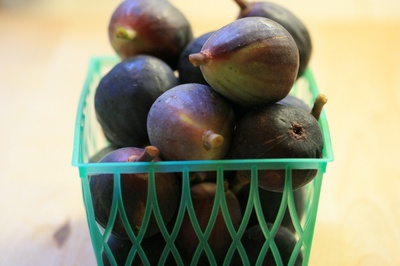 lastfigs
