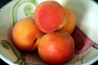 new_apricots_2s.jpg