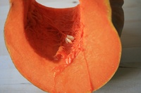 orangepumpkin.jpg