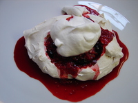 pavlova4.JPG