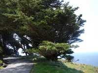 pointreyeslighthouse2.JPG