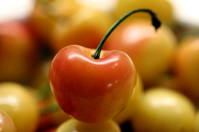 rainier_cherry_1s.jpg