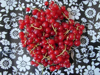 redcurrants1.jpg