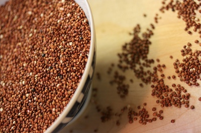 redincaquinoa.jpg