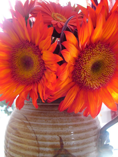 redsunflowers_gerberas.jpg