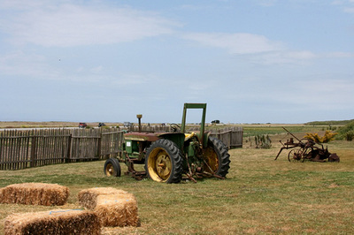 swanton_farm_15.jpg