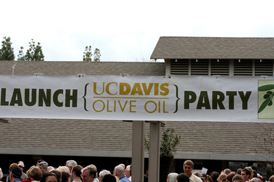 ucd_oliveoil_4s.jpg