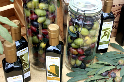 ucd_oliveoil_9s.jpg
