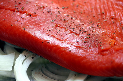 wild_salmon_onion_1S.jpg
