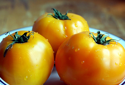 yellow_tomatoes_1_S.jpg