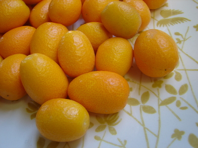 yellowkumquat.JPG