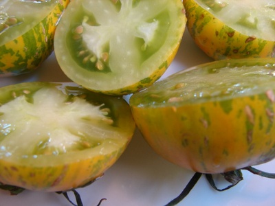 zebratomatoes.jpg