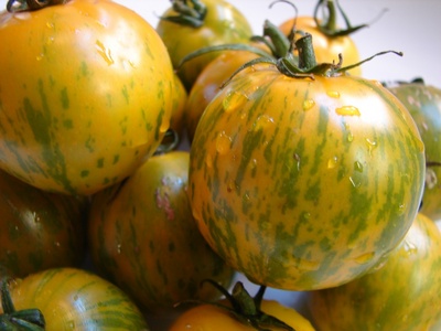 zebratomatoes1.jpg