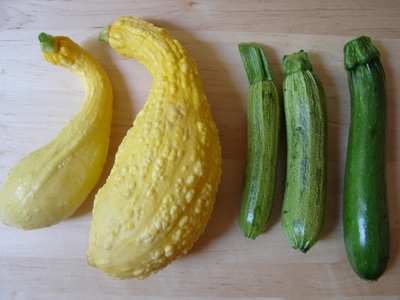 zucchinisfromalison.jpg