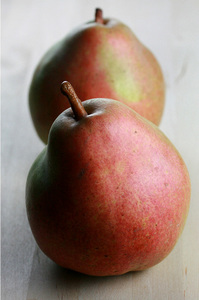 comice_pear_2S.jpg