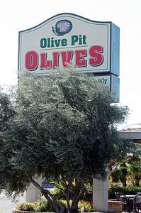 olive_pit_3S.jpg