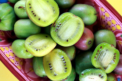 kiwi_berries_1S.jpg