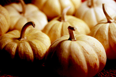 mini_boo_pumpkins_4S.jpg